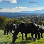 Domiarki